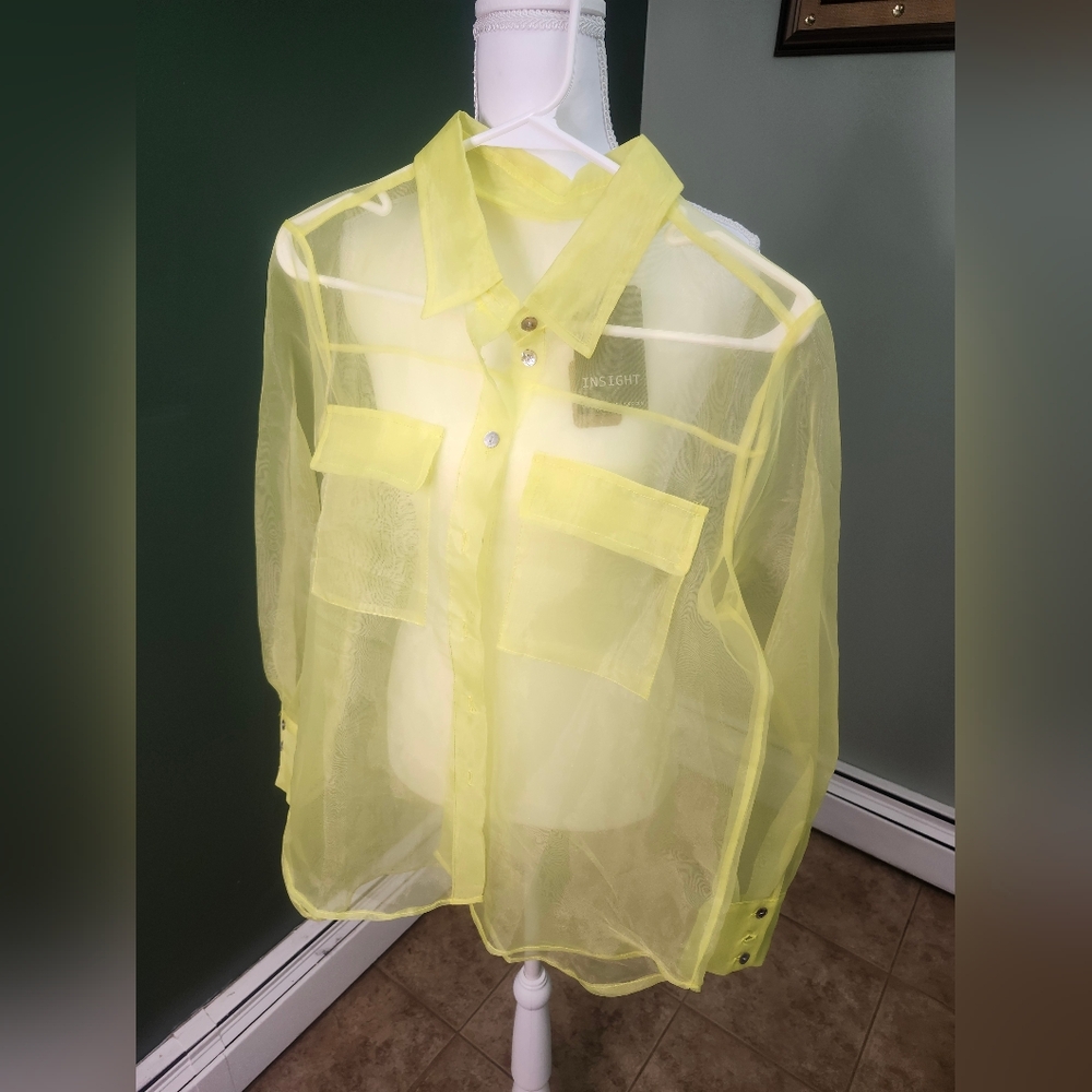 Insight Sheer Lemon Blouse - Picture 6 of 8